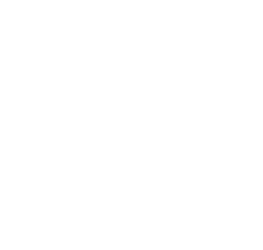 Cloud Server Flow.