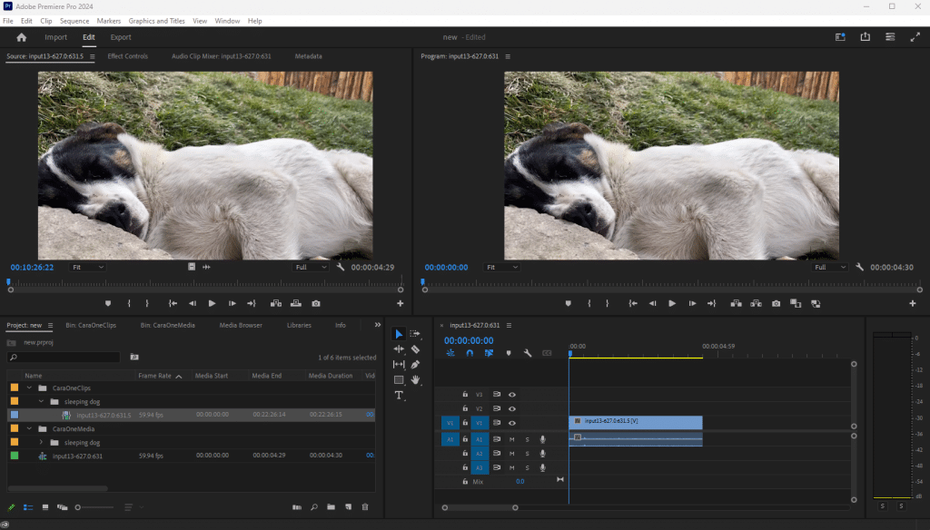 Adobe Premiere - Sleeping Dog search